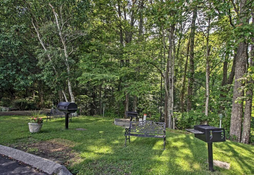 Hébergement de vacances Lux Retro Getaway W/ Ober & Smoky Mtn Views!